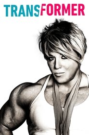 Imagen de Transformer