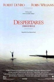 Imagen de Despertares