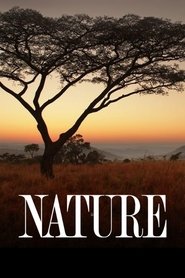 Poster of Nature