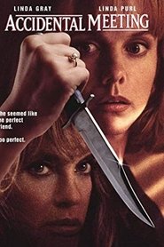 Film Accidental Meeting streaming VF complet