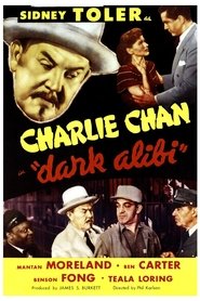 Dark Alibi