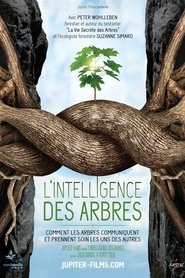 L'intelligence des Arbres