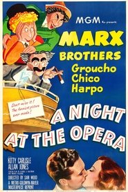 Film Une Nuit à l'opéra streaming VF complet
