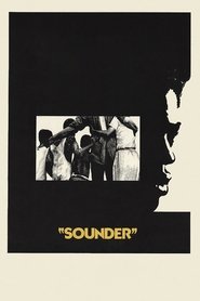 Imagen de Sounder