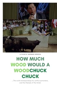 How Much Wood Would a Woodchuck Chuck: Beobachtungen zu einer neuen Sprache sur extremedown