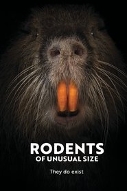 Imagen de Rodents of Unusual Size