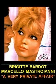 Film Vie privée streaming VF complet