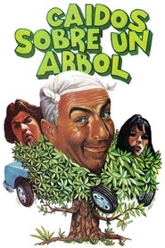 Imagen de Caídos sobre un árbol
