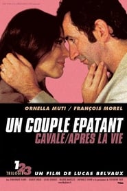 Film Un couple épatant streaming VF complet