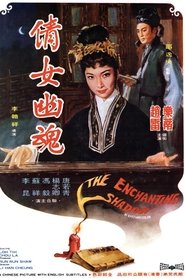Film L'ombre enchanteresse streaming VF complet