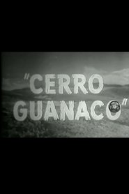 Film Cerro Guanaco streaming VF complet