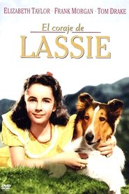 Imagen de El coraje de Lassie