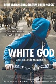 White God