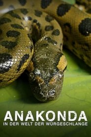 Imagen de Anaconda: Asesino sigiloso