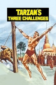 Film Le défi de Tarzan streaming VF complet