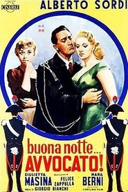 Film Buonanotte... avvocato! streaming VF complet