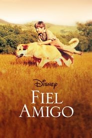 Imagen de Fiel amigo
