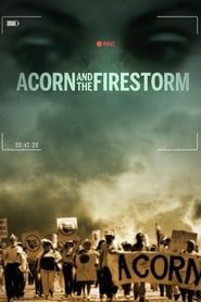 Poster for Acorn and the Firestorm (2018)