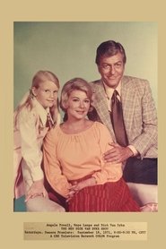 Poster of The New Dick Van Dyke Show