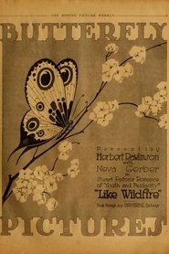 Like Wildfire streaming sur filmcomplet