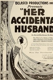 Film Her Accidental Husband streaming VF complet