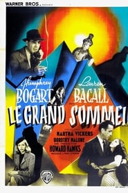 Le Grand Sommeil