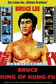 Film Zui she xiao zi streaming VF complet