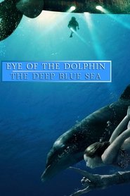Eye of the Dolphin Collection