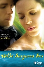 Film Wide Sargasso Sea streaming VF complet