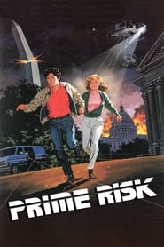 Film Prime Risk streaming VF complet