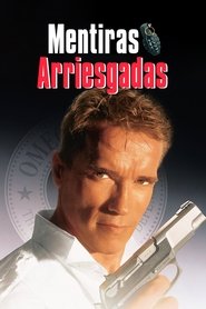 Imagen de Mentiras arriesgadas