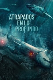 Imagen de Atrapados en el abismo