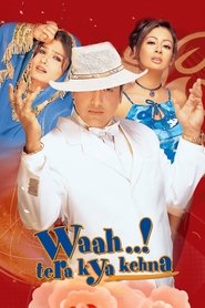 Poster of undefined