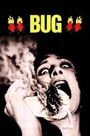 Film Les Insectes de feu streaming VF complet