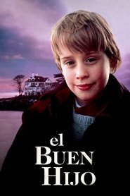 Imagen de El buen hijo