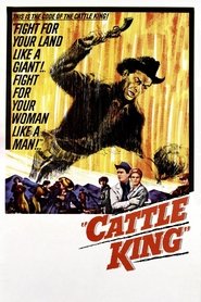Les Ranchers du Wyoming streaming sur filmcomplet