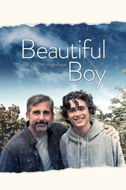 Beautiful Boy streaming sur filmcomplet