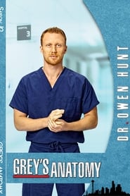 Grey's Anatomy streaming sur filmcomplet