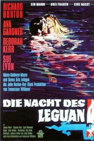 Die Nacht des Leguan