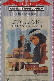 Film Kara Çarşaflı Gelin streaming VF complet