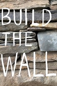 Film Build the Wall streaming VF complet