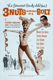 Film 3 Nuts in Search of a Bolt streaming VF complet