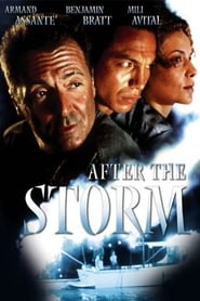 Film After the Storm streaming VF complet