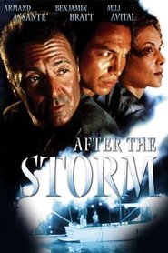 After the Storm streaming sur filmcomplet
