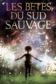 Film Les Bêtes du sud sauvage streaming VF complet