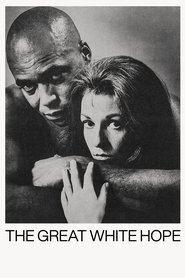 Poster of undefined