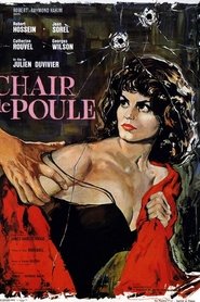 Film Chair de poule streaming VF complet
