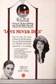 Film Love Never Dies streaming VF complet