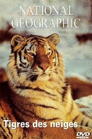Film National Geographic : Tigres des neiges streaming VF complet