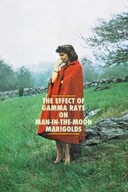 Imagen de El efecto de los rayos gamma  sobre las margaritas